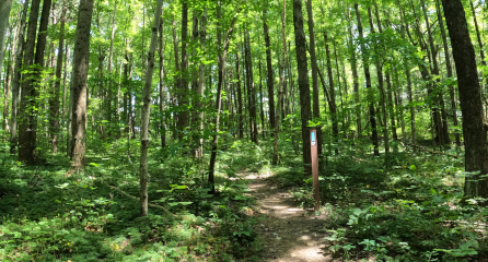 Hiking - Hocking Hills